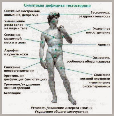 собственного тестостерона выработку Запустит собственного тестостерона выработку Запустит