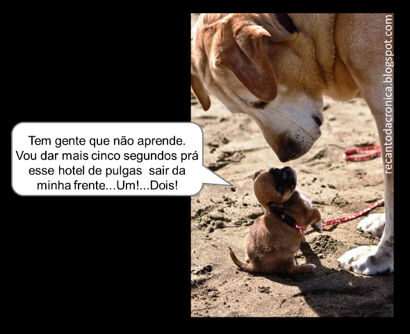 tem+gente+que+n%C3%A3o....png