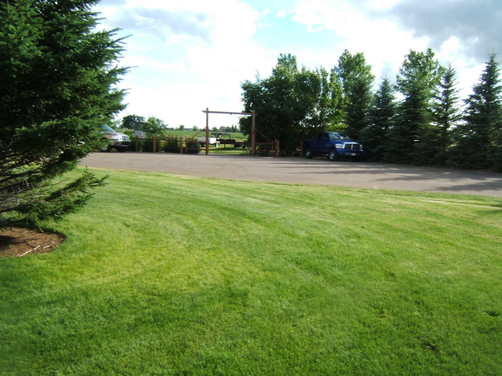 Medicine Hat Acreage for Sale