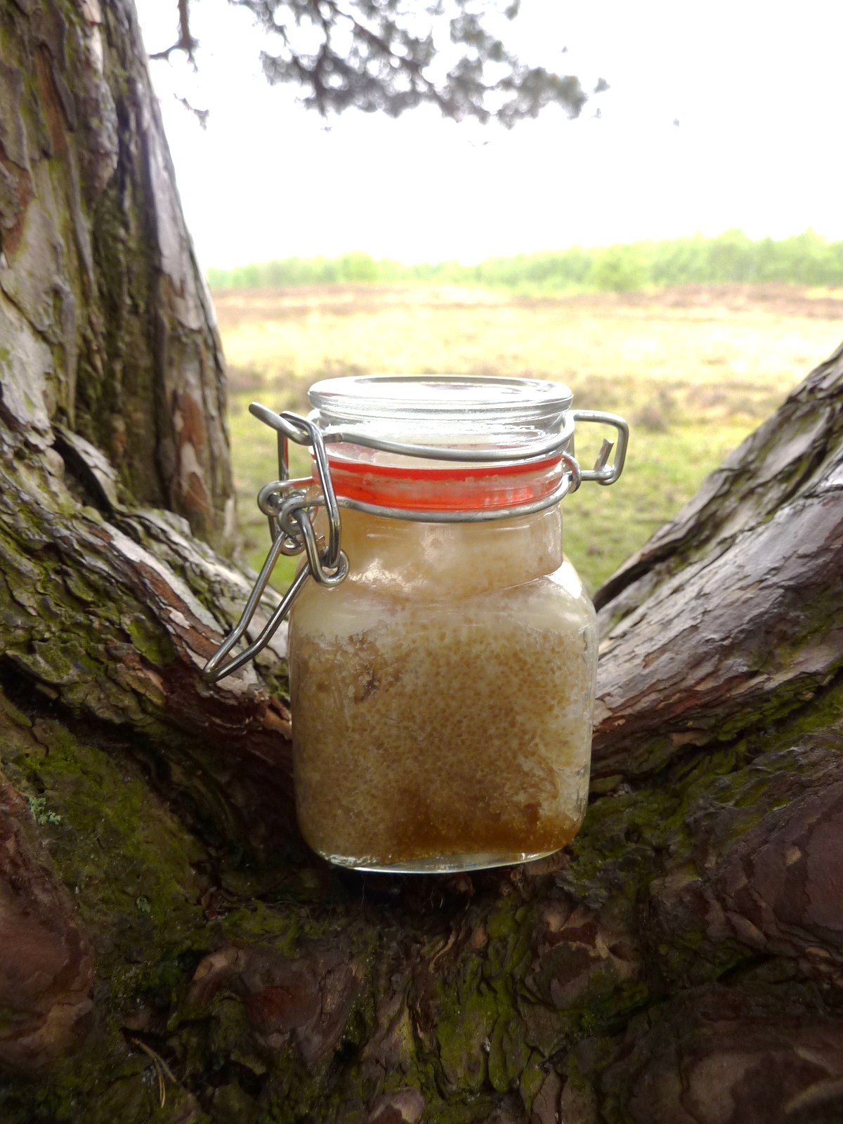 DE GULLE AARDE shea butter scrub