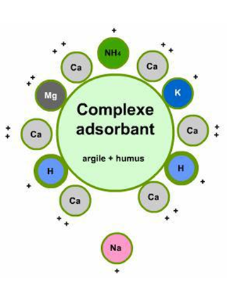 Le sol et ses constituants Agriculture Moderne