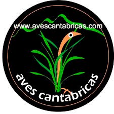 Aves Cantábricas