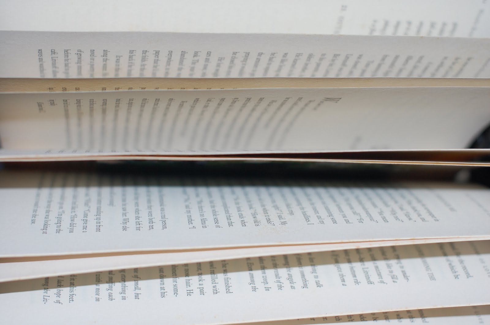 abandoned book