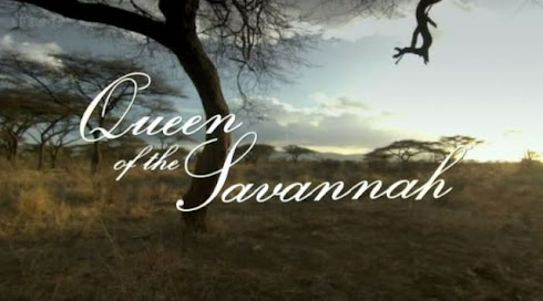 Queen of the Savannah