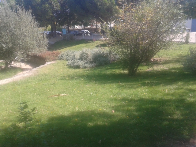 Zona Verde Zona Verde