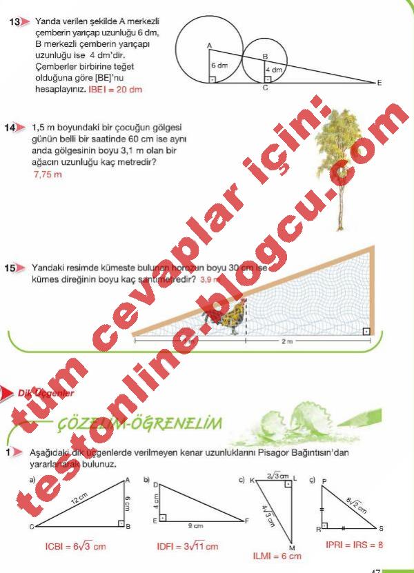 47-sayfa-8.sinif-matematik-calisma-kitabi-cevaplari-testonline.blogcu.com-meb-yayinlari
