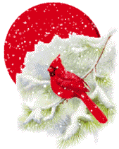 Animation Bundle: Animated Cardinals Chirping and Spreading Love of