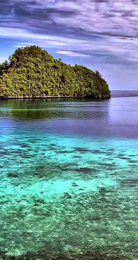 Mindanao is the second largest  island in the Philippines