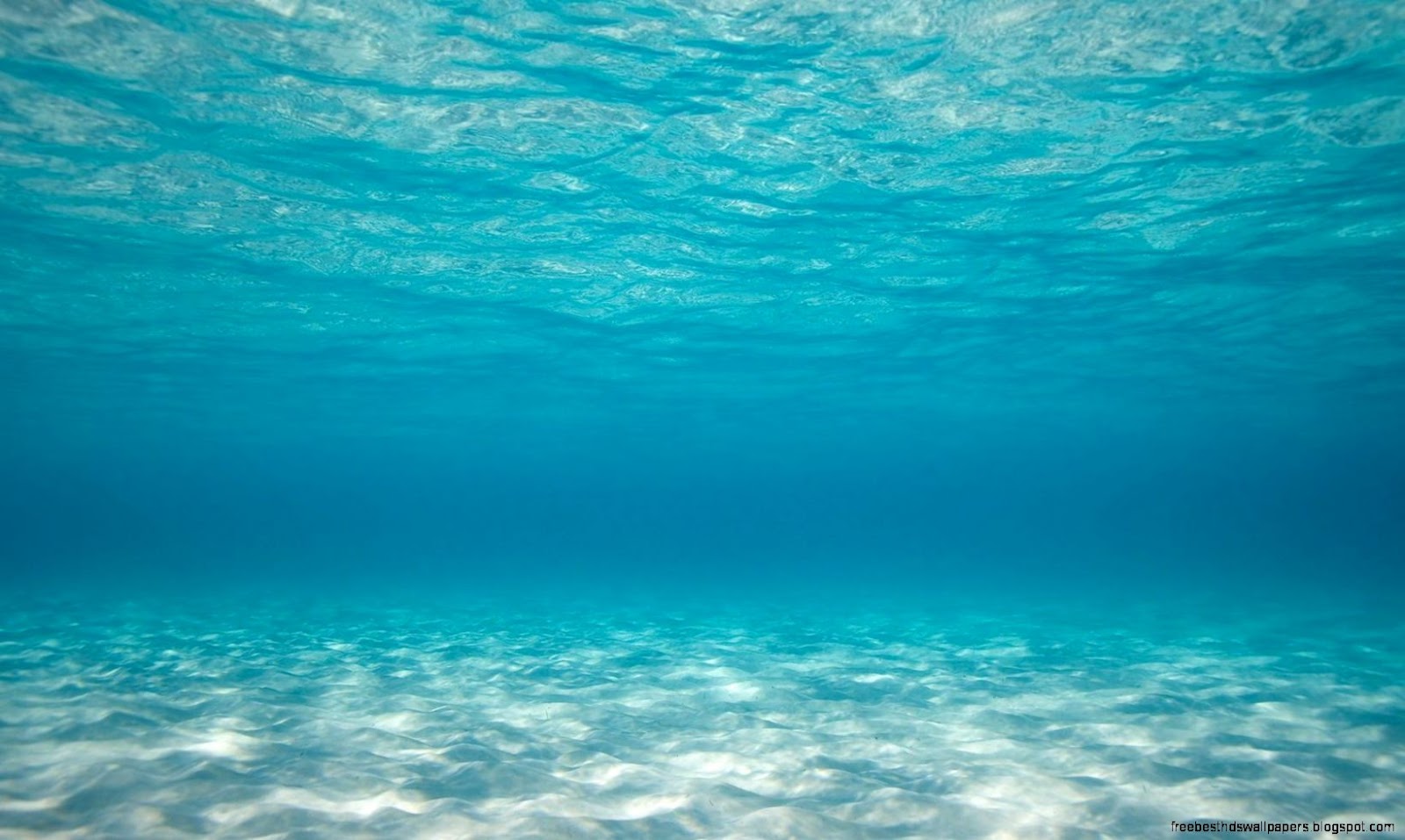 Bottom Of The Sea Wallpaper APK Download Bottom Of The Sea Wallpaper APK Download