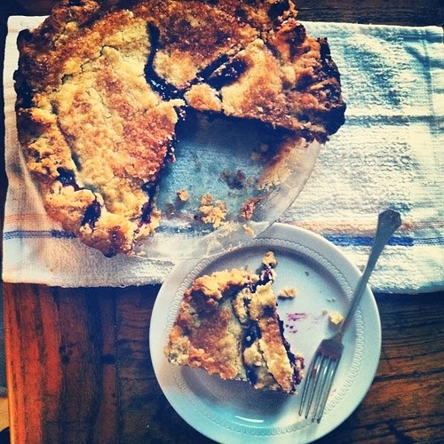 A Plum By Any Other Name Concord Grape Pie with Leaf Lard Crust Will