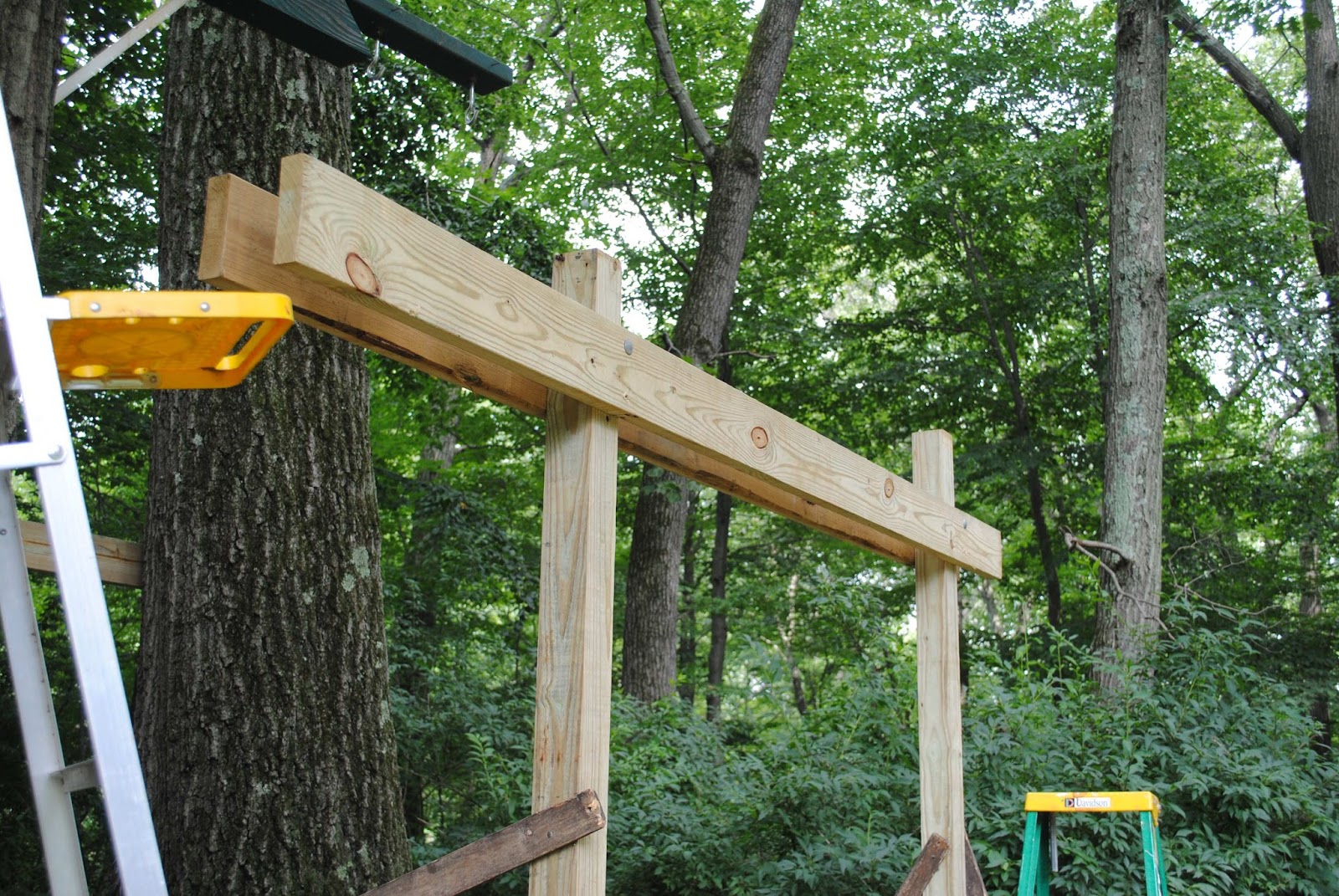 Quantum Quest Tree House (or Fort) Construction