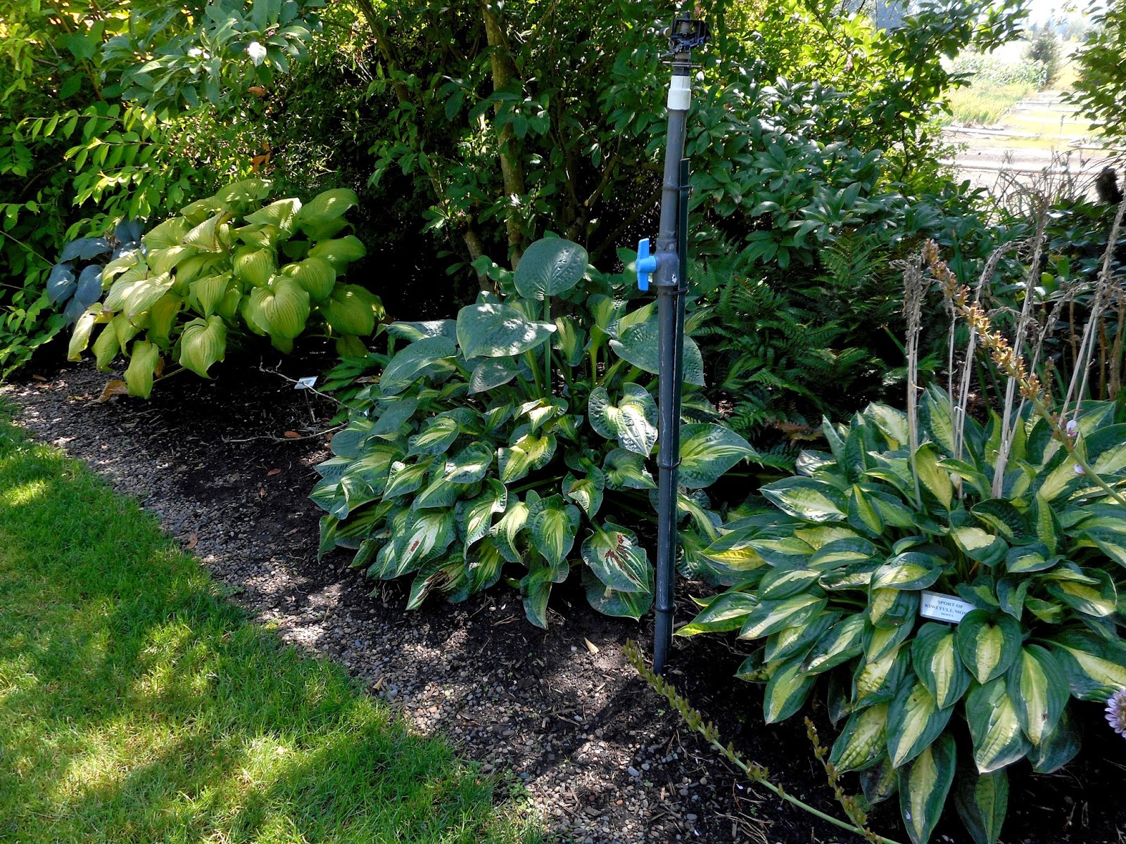 Gardening With Grace Garden Tour Sebright Gardens