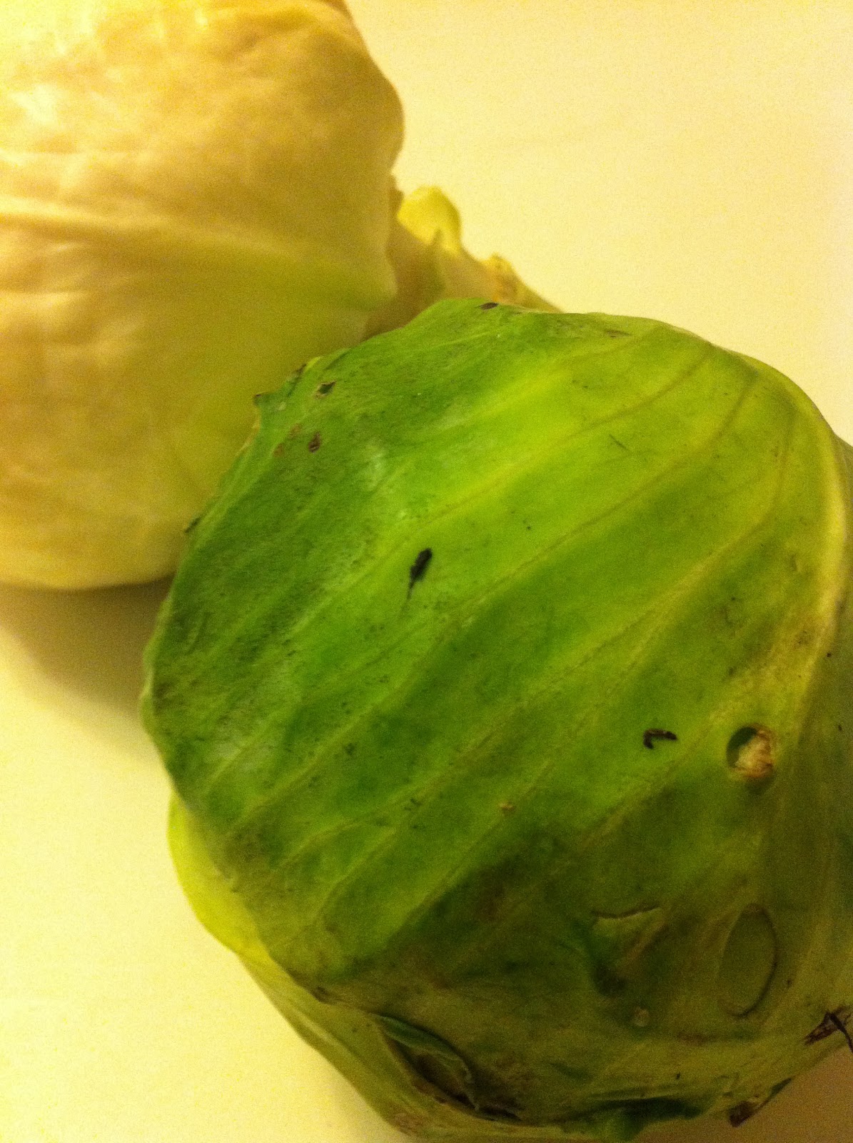 Cabbage Roll Dinner