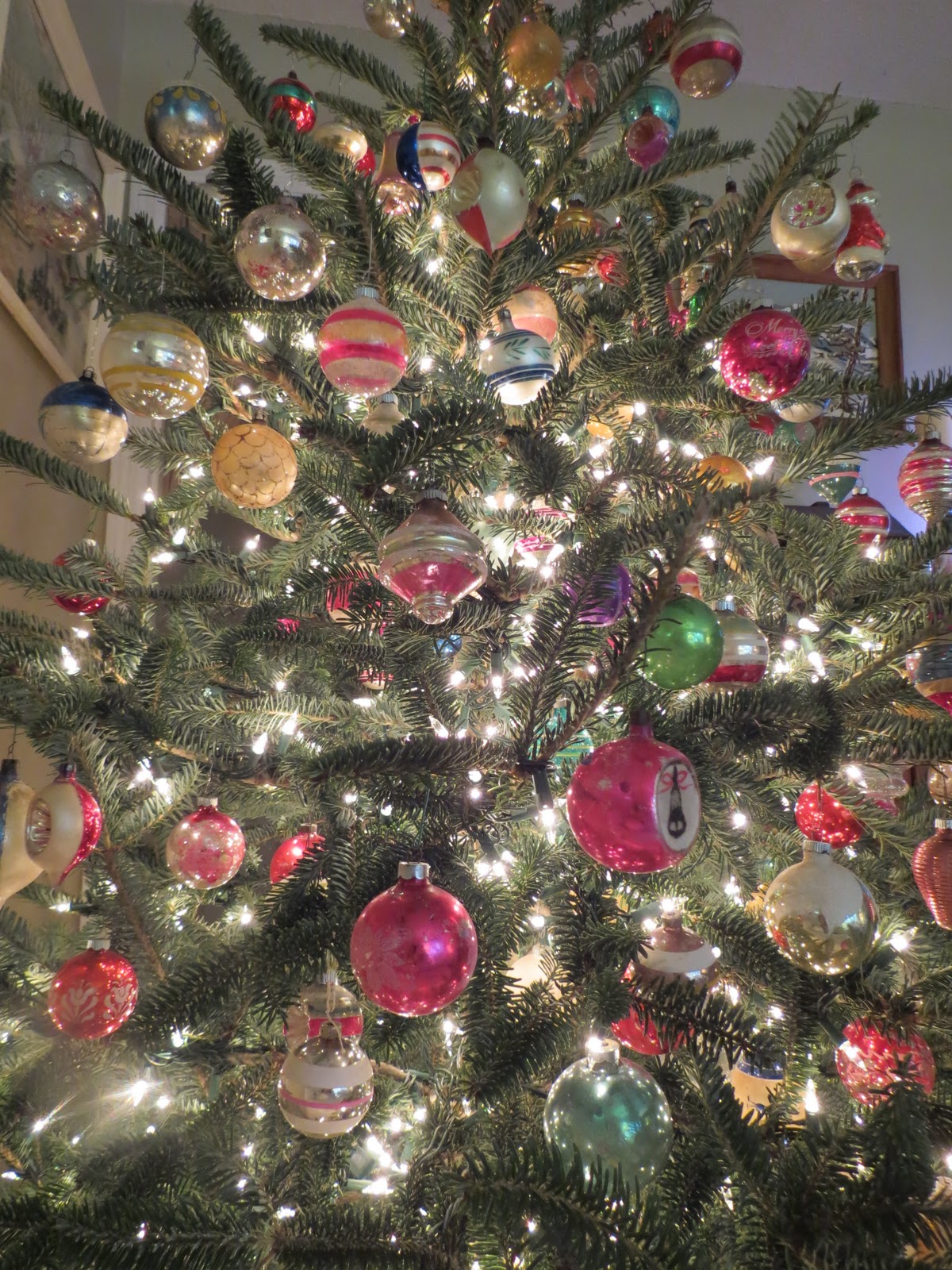 Sue Bee and Butterflies Getting the Christmas tree done and more!!