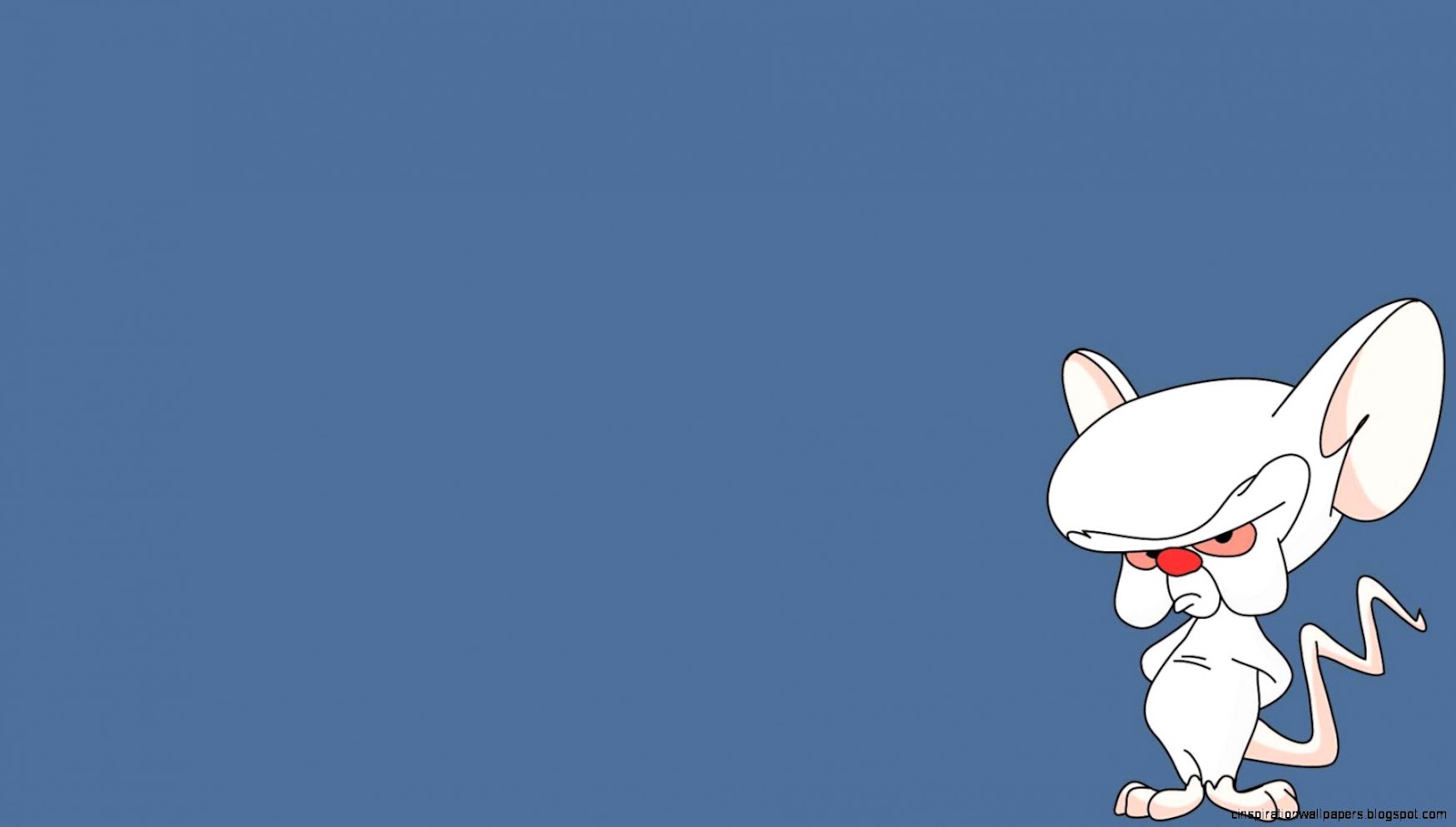 Pinky and Brain Pinky and Brain