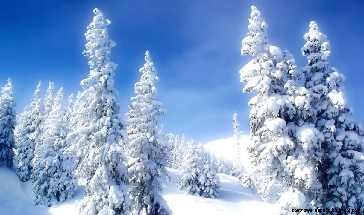 Animated Winter Scenes Animated Winter Scenes