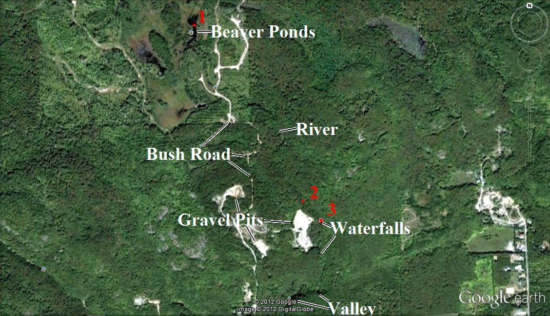 The Billy Wilson: November 2012