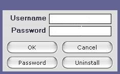 email password generator