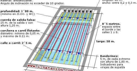 natacion cpel blogger