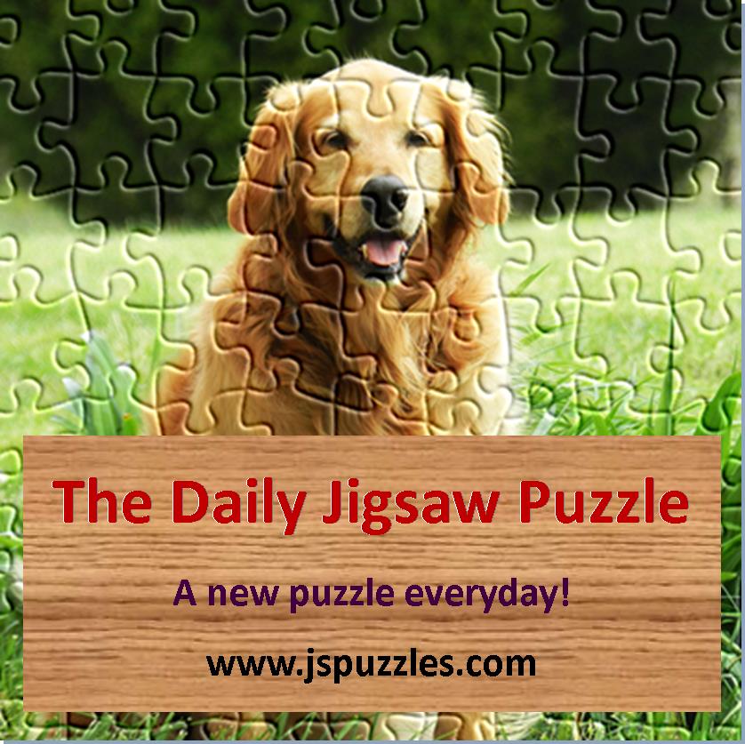 The Daily Jigsaw Puzzle