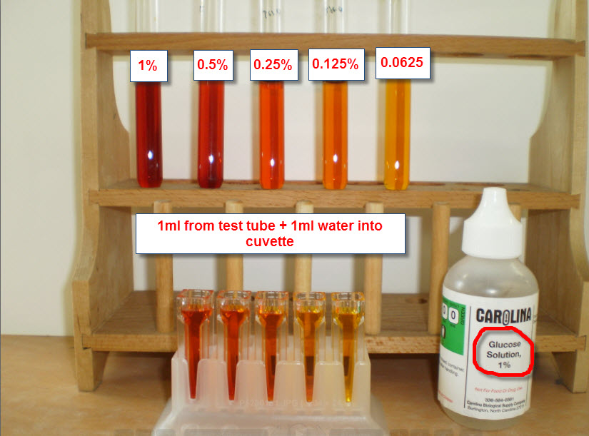 Dns Assay