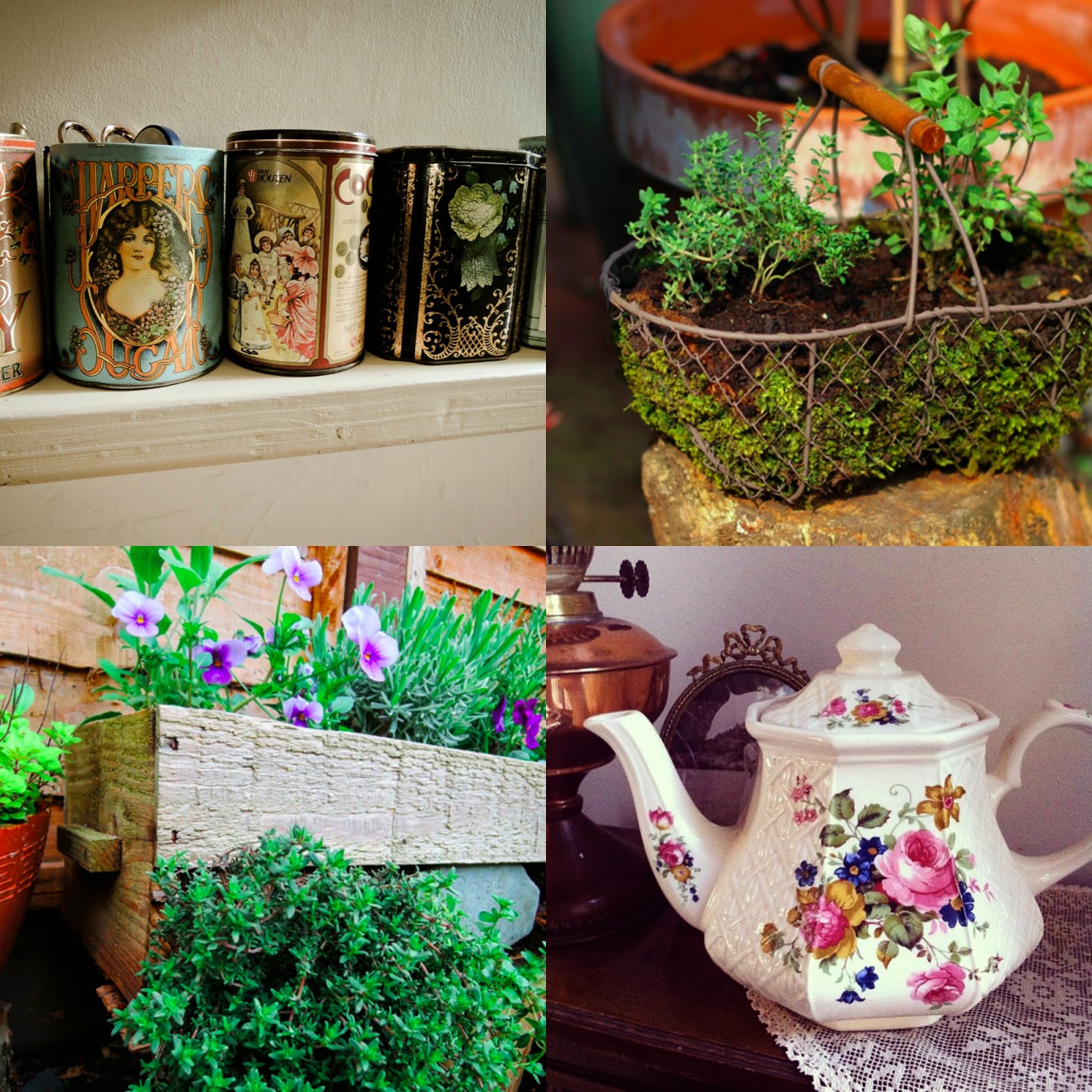 Planting in teapots, tins, baskets and boxes