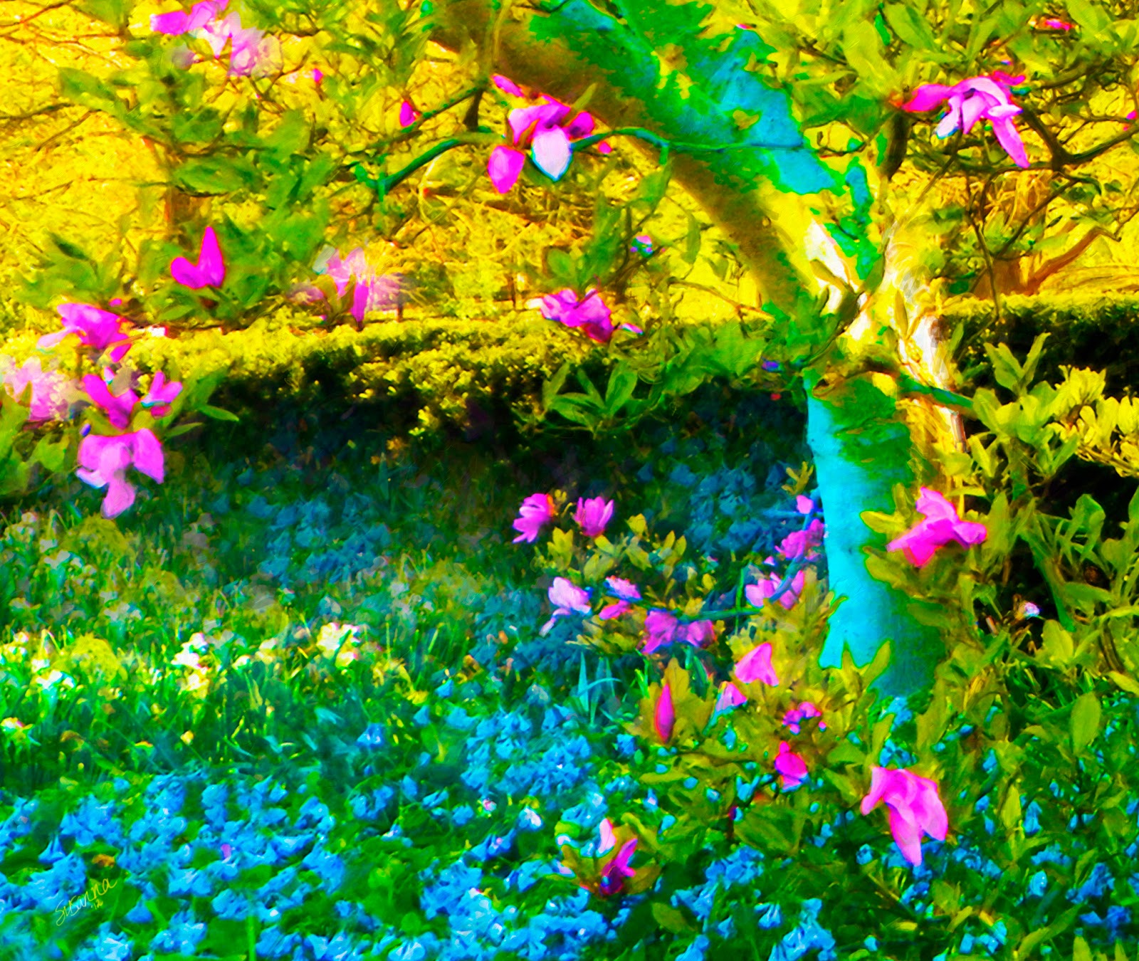 PaintingsofArtistsOriginalUnusual Art Painting Of Pink Magnolia Tree