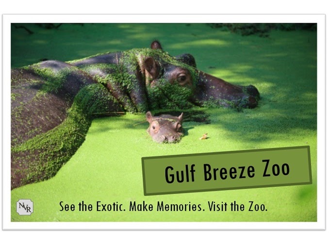 gulf breeze zoo jobs gulf breeze zoo jobs