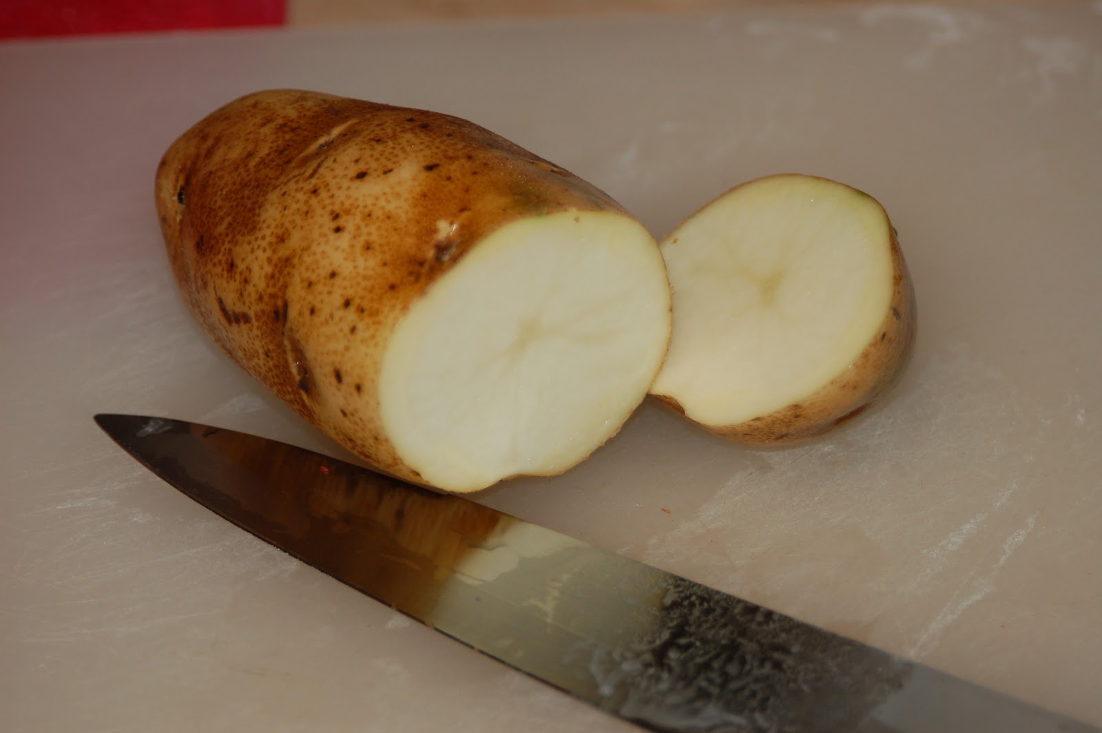 Dehydrating Way Beyond Jerky Taters ‘n Taters ‘n Taters… Oh My!