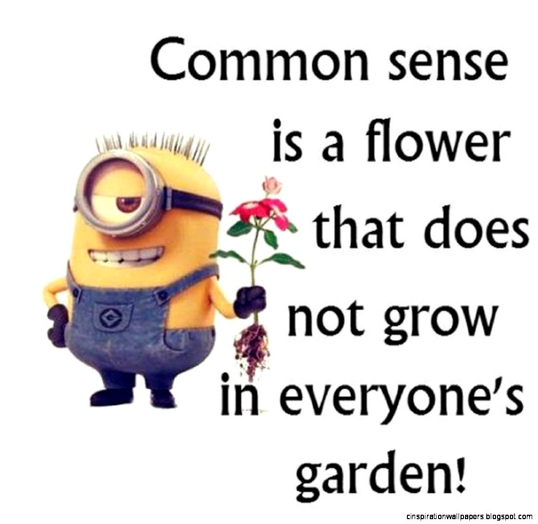 Funny Minions Quotes Of The Week April 7 2015 Funny Minions Quotes Of The Week April 7 2015