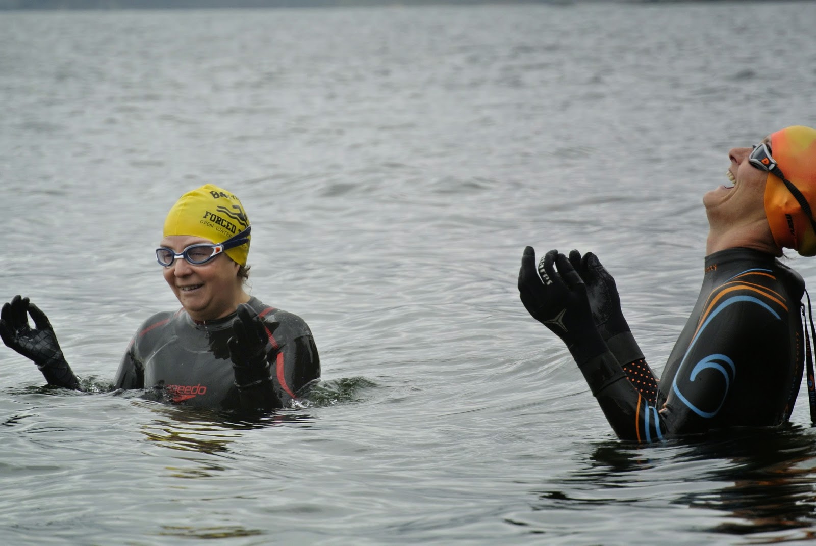 Diary of an open water swimmer Wild about swimming and Great North