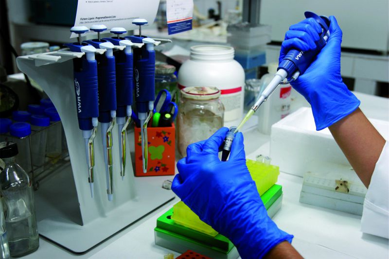 Analysis and Testing Third Party Inspection,Quality Testing