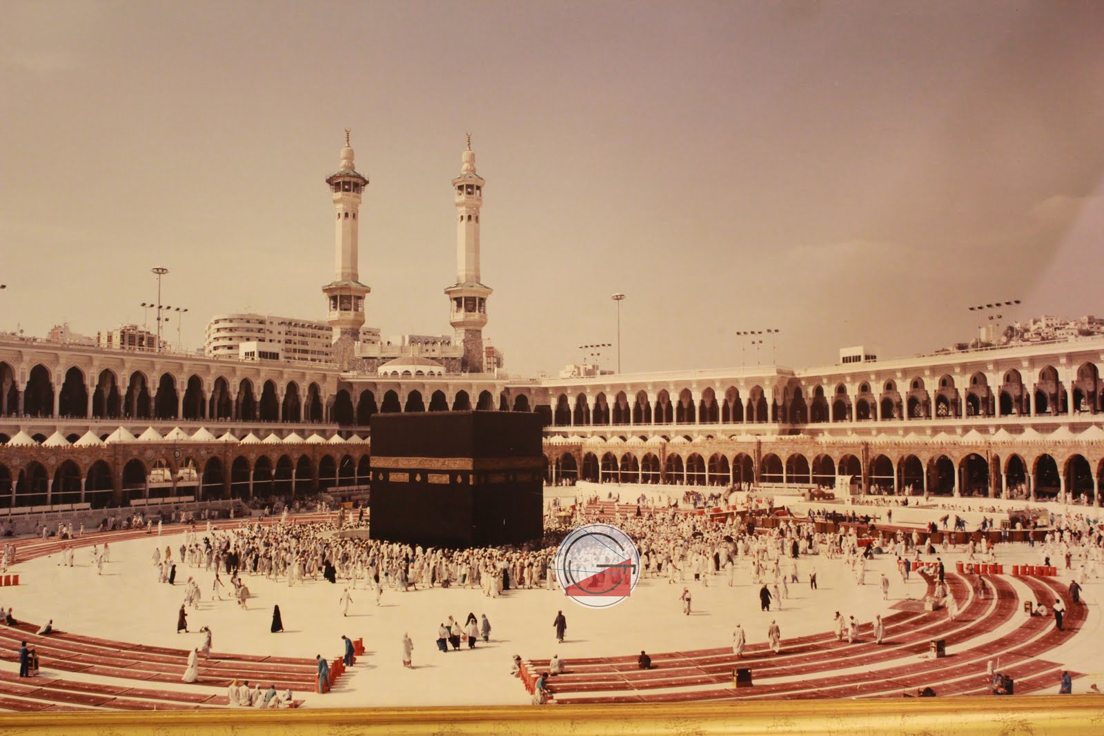 buy chanel purses bags for women