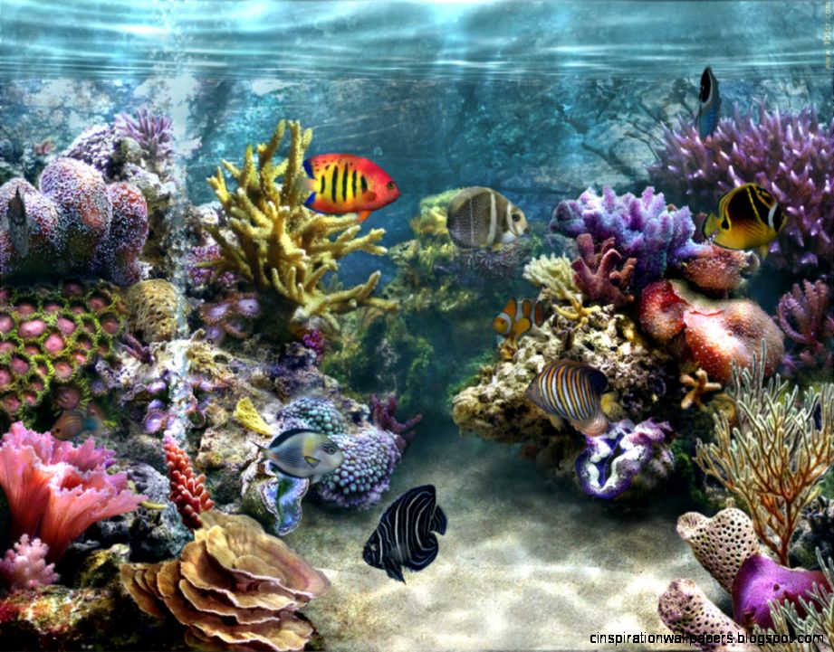 Moving Fish Aquarium Desktop Background Wallpaper Wallpaperpc Moving Fish Aquarium Desktop Background Wallpaper Wallpaperpc