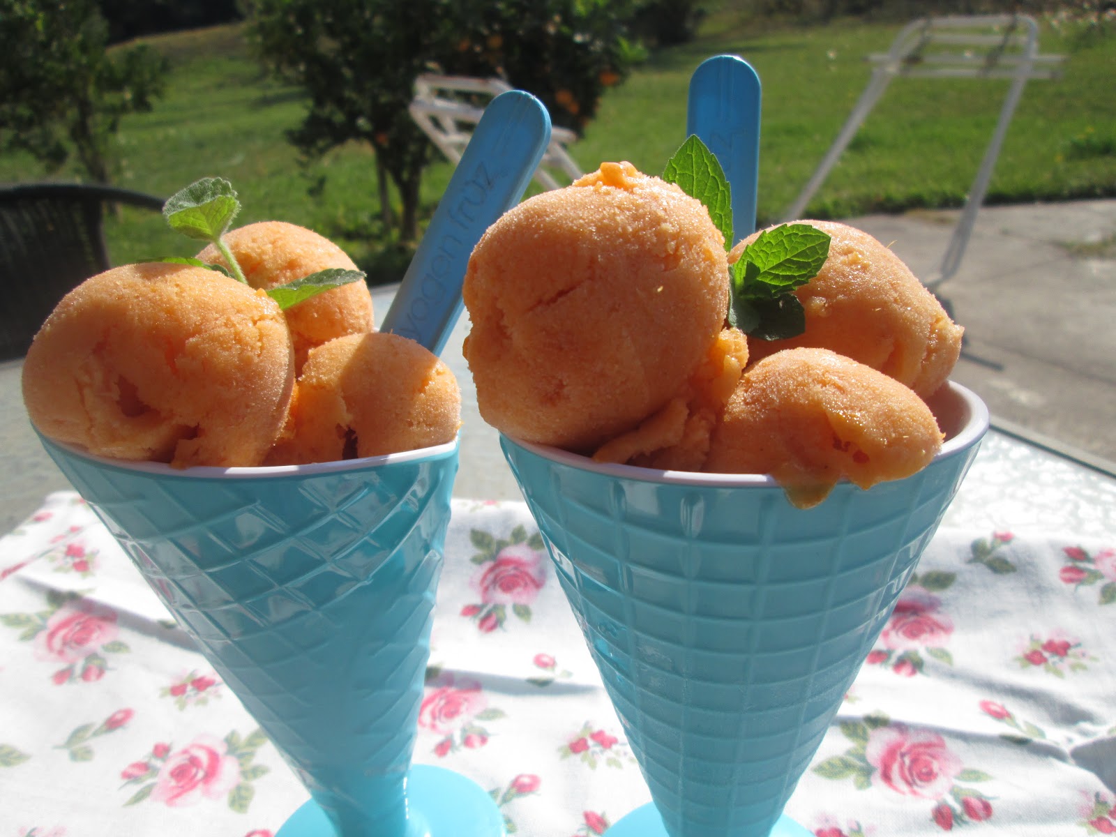 Canela kitchen (gloria) Apricot sorbet