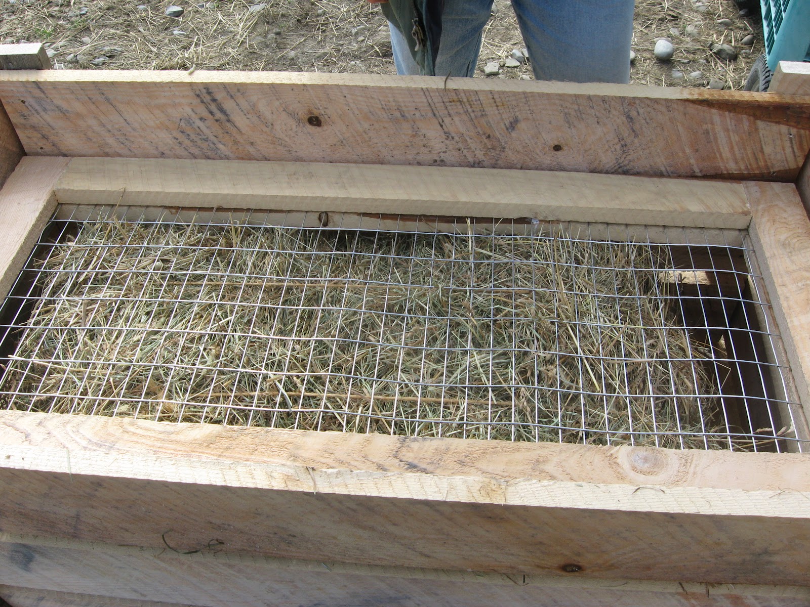 The Dancing Donkey Slow Feeder