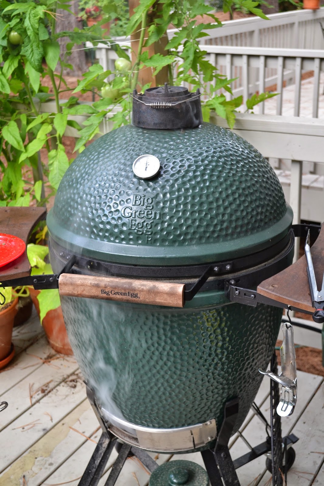 Weekend Food Project Skirt Steak on the Big Green Egg