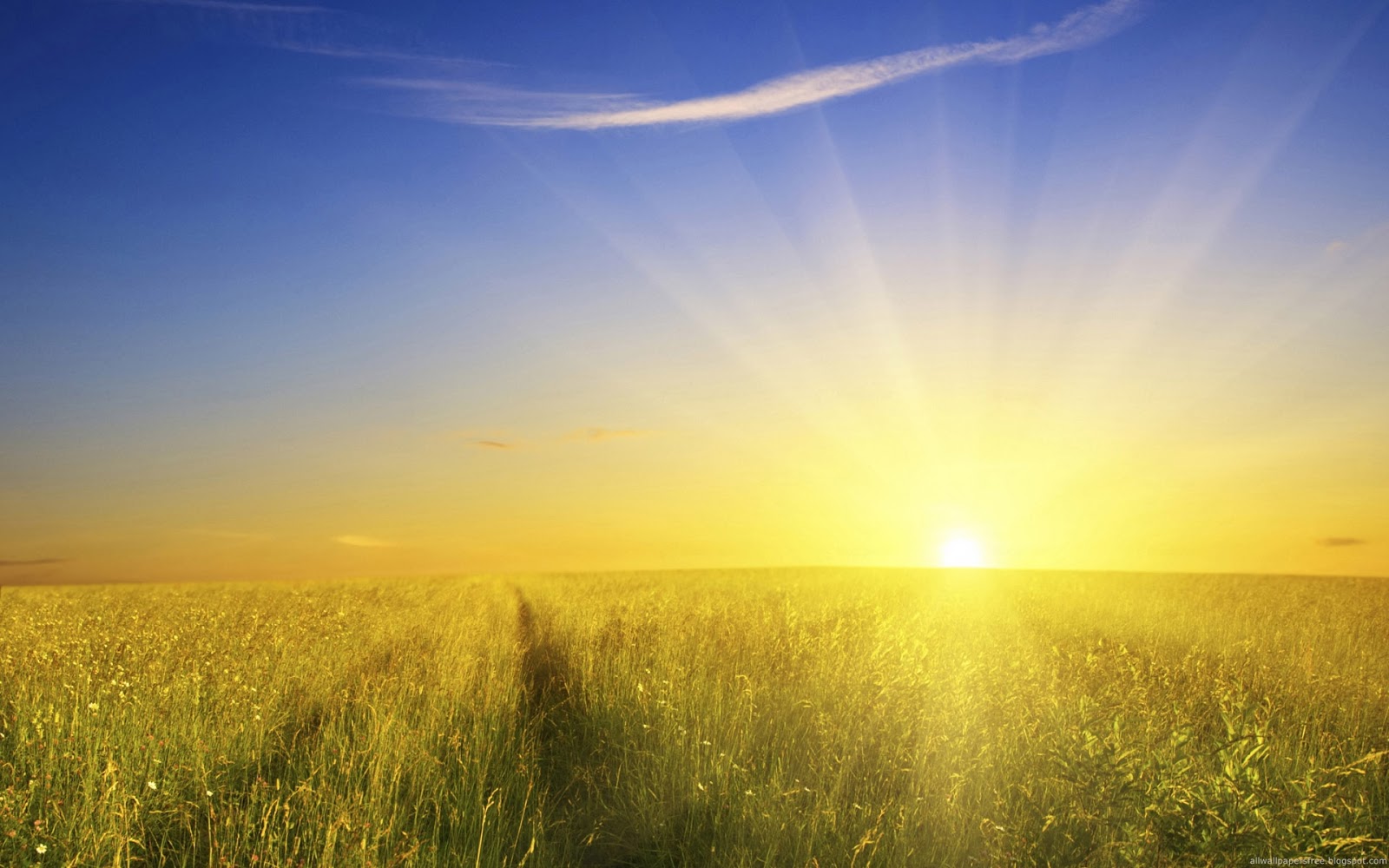 HD Wallpapers Desktop: Sun Rising HD DeskTop Wallpapers