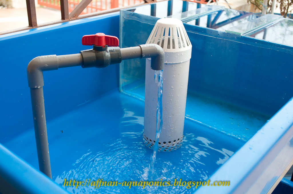 Aquaponics water test kits Diy DIY Aquaponics