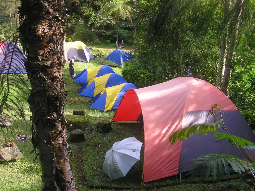 Mandalawangi Cibodas Camping Ground: Mandalawangi Cibodas ...