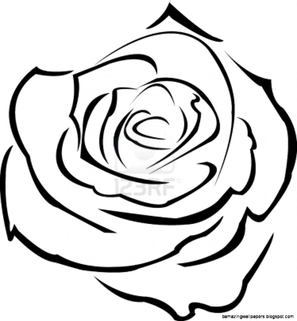 Rose Drawing Outline Sketch Coloring Page Rose Drawing Outline Sketch Coloring Page