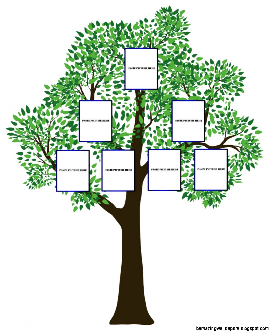 blank family tree amazing wallpapers pictures of blank family trees
