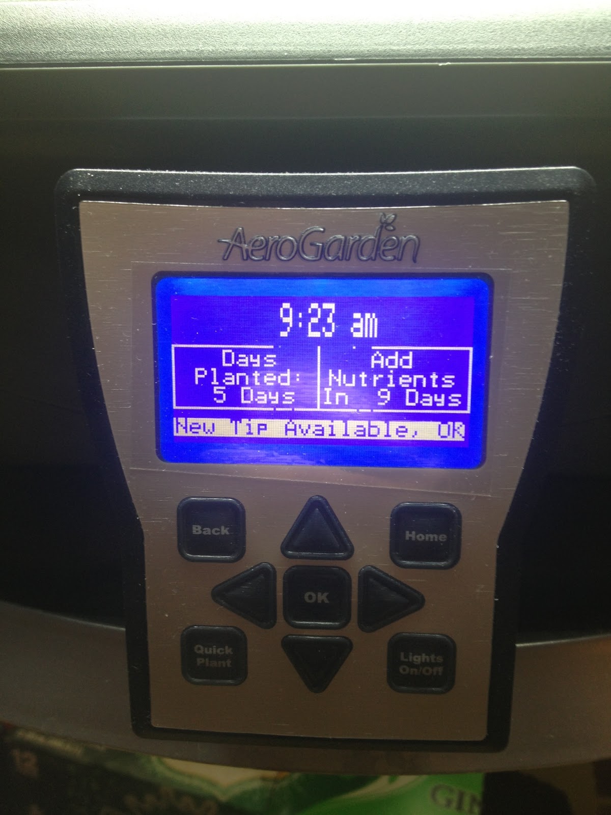 The first herbs pop up in the AeroGarden Ultra! Indoor Gardening My