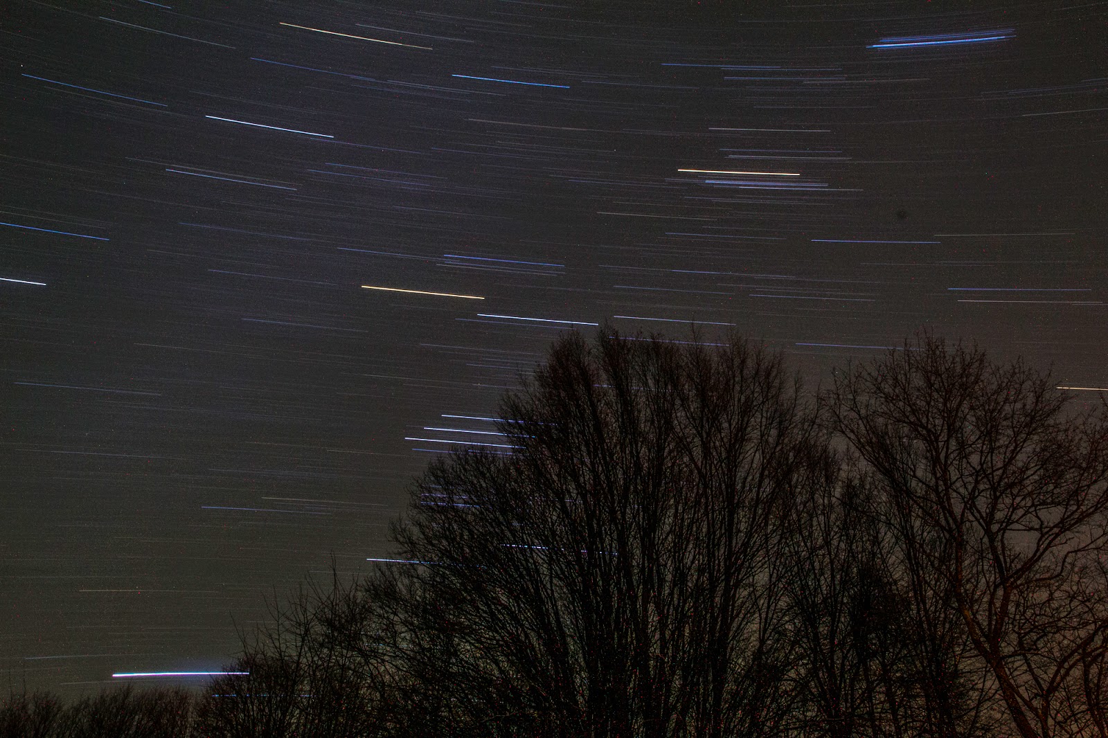 Gwiazdka w Puszczy - Ania w Podróży