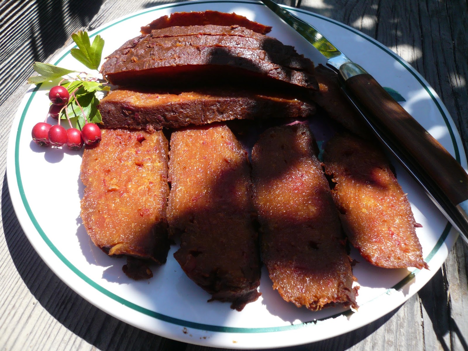 Countryman Foraging California's Wild Side Hawthorn Berry Fruit Leather