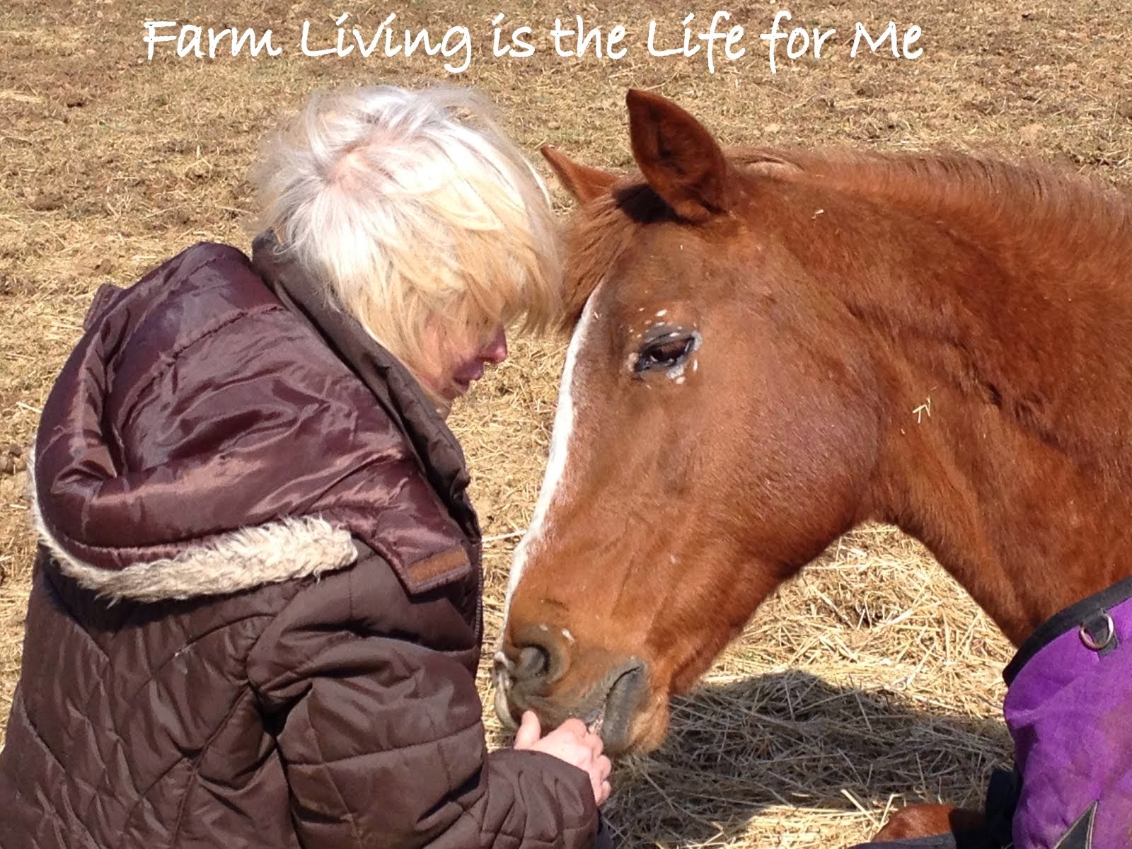 Farm Living is the Life for Me