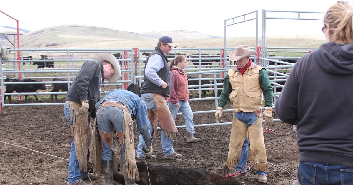 Success is Reason Enough Branding in Pilot Rock.