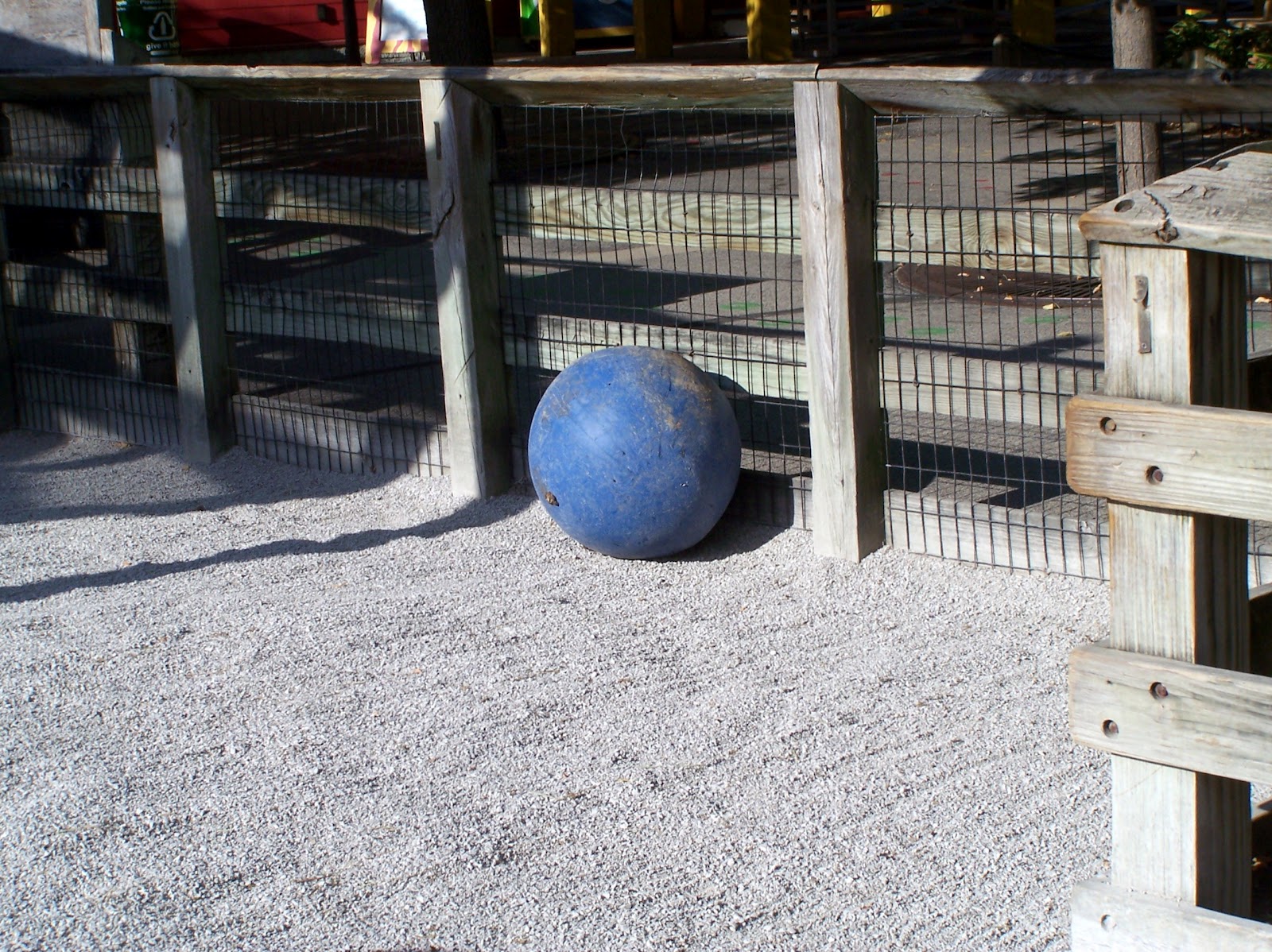 Zoo Animal Enrichment Domestic Hoofstock Enrichment