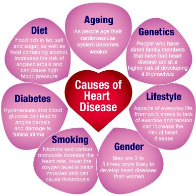 Factors That Cause Heart Disease