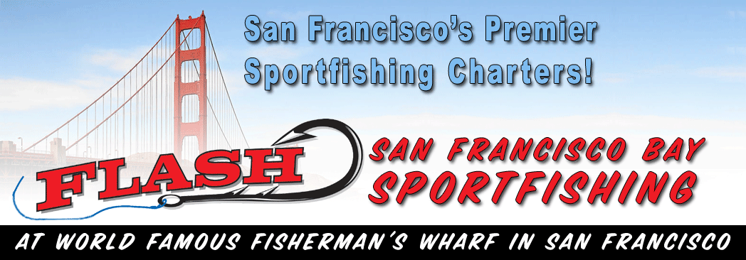 San Francisco Bay Sportfishing Fishing Reports